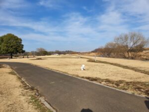 安比奈親水公園（あいなしんすいこうえん）・川越市・犬散歩・アトリエミカミ・撮影・撮影場所・ハウススタジオ・動物プロ・ロケ地・ロケ場所
