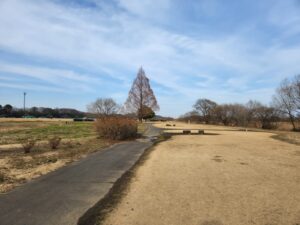 安比奈親水公園（あいなしんすいこうえん）・川越市・犬散歩・アトリエミカミ・撮影・撮影場所・ハウススタジオ・動物プロ・ロケ地・ロケ場所
