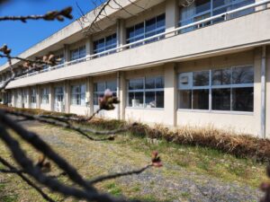 桜。桜開花・学校スタジオ・ℝ5年3月20日・メインロケハン・オールスタッフロケハン・アトリエミカミ管理運営・ロケ地・東京近郊・撮影場所・ドラマ撮影・ミュージックビデオ撮影・YouTube撮影・映画撮影・再現ドラマ撮影・コスプレ撮影・撮影会・撮影現場・桜川市・真壁町・東京・関東・東京