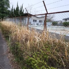 プール脇・植え込み・メンテナンス・作業・雑草駆除・学校スタジオ・撮影風景・撮影機材・再現ドラマチーム・ミュージックビデオ撮影・現場・学校スタジオ・アトリエミカミ管理運営・ハウススタジオ・ロケ地。ロケ場所・ドラマ撮影・映画撮影・YouTube撮影・コスプレ撮影・再現ドラマ撮影・ロケ現場・撮影現場・東京近郊・東京・撮影場所・貸しスタジオ・レンタルスタジオ・学校の撮影場所・