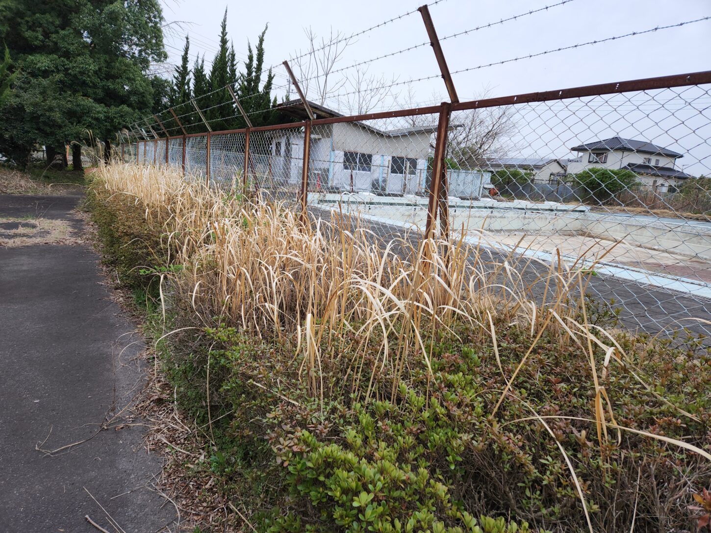 プール脇・植え込み・メンテナンス・作業・雑草駆除・学校スタジオ・撮影風景・撮影機材・再現ドラマチーム・ミュージックビデオ撮影・現場・学校スタジオ・アトリエミカミ管理運営・ハウススタジオ・ロケ地。ロケ場所・ドラマ撮影・映画撮影・YouTube撮影・コスプレ撮影・再現ドラマ撮影・ロケ現場・撮影現場・東京近郊・東京・撮影場所・貸しスタジオ・レンタルスタジオ・学校の撮影場所・
