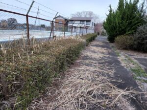 プール脇・植え込み・メンテナンス・作業・雑草駆除・学校スタジオ・撮影風景・撮影機材・再現ドラマチーム・ミュージックビデオ撮影・現場・学校スタジオ・アトリエミカミ管理運営・ハウススタジオ・ロケ地。ロケ場所・ドラマ撮影・映画撮影・YouTube撮影・コスプレ撮影・再現ドラマ撮影・ロケ現場・撮影現場・東京近郊・東京・撮影場所・貸しスタジオ・レンタルスタジオ・学校の撮影場所・