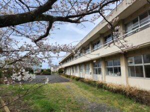 卒業式の看板・満開・桜開花・学校スタジオ・ℝ5年3月24日・美術建て込み・メインロケハン・オールスタッフロケハン・アトリエミカミ管理運営・ロケ地・東京近郊・撮影場所・ドラマ撮影・ミュージックビデオ撮影・YouTube撮影・映画撮影・再現ドラマ撮影・コスプレ撮影・撮影会・撮影現場・桜川市・真壁町・東京・関東・東京近郊