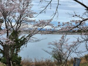 つくし湖・土手・堤防・桜・絶景・満開・学校スタジオ・ℝ５年３月２4日・美術建て込み・メインロケハン・オールスタッフロケハン・アトリエミカミ管理運営・ロケ地・東京近郊・撮影場所・ドラマ撮影・ミュージックビデオ撮影・YouTube撮影・映画撮影・再現ドラマ撮影・コスプレ撮影・撮影会・撮影現場・桜川市・真壁町・東京・関東・東京