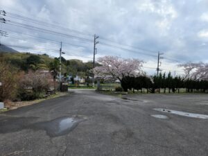 校門前の桜・桜開花・学校スタジオ・ℝ５年３月２7日・美術建て込み・メインロケハン・オールスタッフロケハン・アトリエミカミ管理運営・ロケ地・東京近郊・撮影場所・ドラマ撮影・ミュージックビデオ撮影・YouTube撮影・映画撮影・再現ドラマ撮影・コスプレ撮影・撮影会・撮影現場・桜川市・真壁町・東京・関東・東京