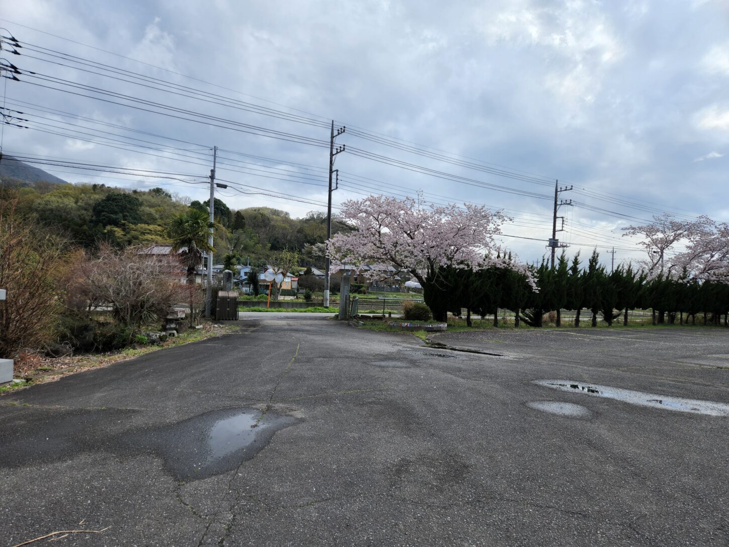 校門前の桜・桜開花・学校スタジオ・ℝ５年３月２7日・美術建て込み・メインロケハン・オールスタッフロケハン・アトリエミカミ管理運営・ロケ地・東京近郊・撮影場所・ドラマ撮影・ミュージックビデオ撮影・YouTube撮影・映画撮影・再現ドラマ撮影・コスプレ撮影・撮影会・撮影現場・桜川市・真壁町・東京・関東・東京