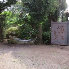 登録有形文化財橋本旅館スタジオ庭・・橋本旅館スタジオ・グットデザイン賞・登録有形文化財橋本旅館スタジオ・古民家カフェ・登録有形文化財・アトリエミカミ・管理運営・ドラマ撮影・映画撮影・再現ドラマ撮影・YouTube撮影・ミュージックビデオ撮影・CM撮影・ロケ地・ロケ現場・撮影場所・ハウススタジオ・レンタルスタジオ・貸しスタジオ・東京・東京近郊・桜川市・真壁町