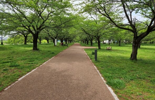 狭山市・ニコニコテラス・学校スタジオ・アトリエミカミ管理運営・ロケ地・東京近郊・撮影場所・ドラマ撮影・ミュージックビデオ撮影・YouTube撮影・映画撮影・再現ドラマ撮影・コスプレ撮影・撮影会・撮影現場・桜川市・真壁町・東京・関東・東京