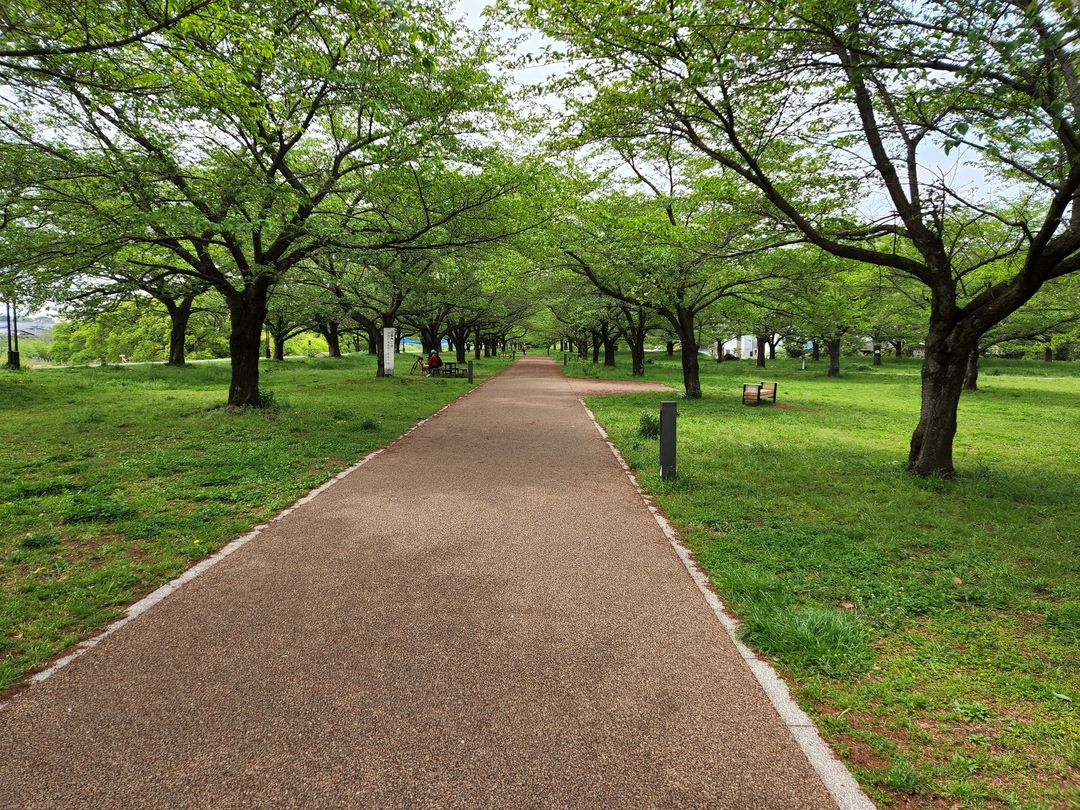 狭山市・ニコニコテラス・学校スタジオ・アトリエミカミ管理運営・ロケ地・東京近郊・撮影場所・ドラマ撮影・ミュージックビデオ撮影・YouTube撮影・映画撮影・再現ドラマ撮影・コスプレ撮影・撮影会・撮影現場・桜川市・真壁町・東京・関東・東京