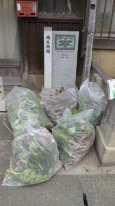 メンテナンス・雑草駆除・橋本旅館スタジオ・グットデザイン賞・登録有形文化財橋本旅館スタジオ・古民家カフェ・登録有形文化財・アトリエミカミ・管理運営・ドラマ撮影・映画撮影・再現ドラマ撮影・YouTube撮影・ミュージックビデオ撮影・CM撮影・ロケ地・ロケ現場・撮影場所・ハウススタジオ・レンタルスタジオ・貸しスタジオ・東京・東京近郊・桜川市・真壁町