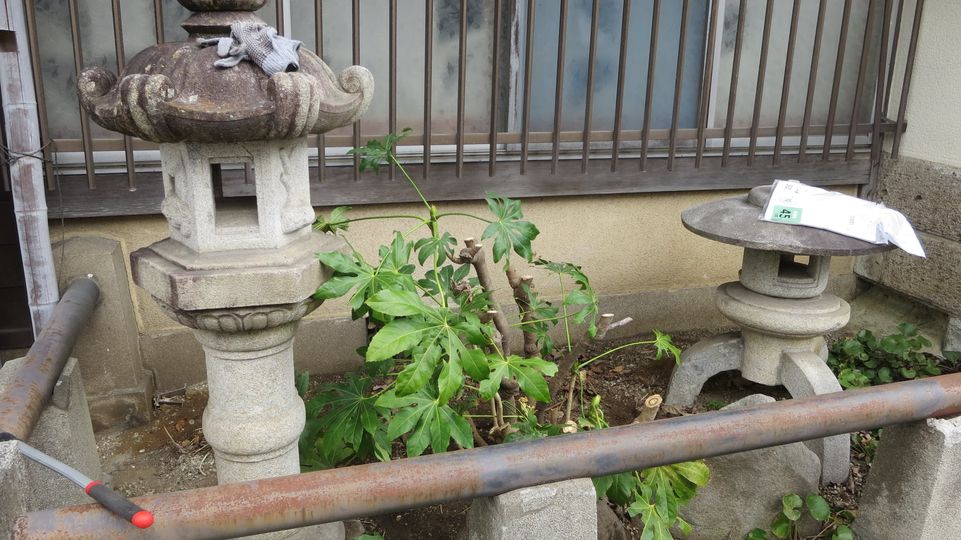 メンテナンス・雑草駆除・橋本旅館スタジオ・グットデザイン賞・登録有形文化財橋本旅館スタジオ・古民家カフェ・登録有形文化財・アトリエミカミ・管理運営・ドラマ撮影・映画撮影・再現ドラマ撮影・YouTube撮影・ミュージックビデオ撮影・CM撮影・ロケ地・ロケ現場・撮影場所・ハウススタジオ・レンタルスタジオ・貸しスタジオ・東京・東京近郊・桜川市・真壁町
