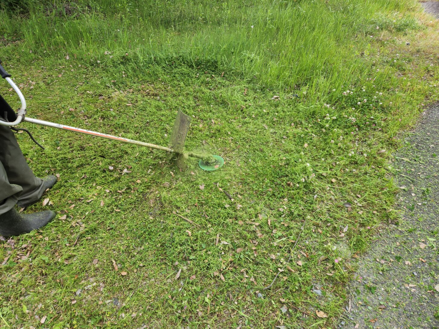 学校スタジオ・草刈り・除草剤・問い合わせ急増・撮影スポット・学園ドラマ・コマーシャル撮影・CM撮影・映画撮影・再現ドラマ撮影・コスプレ撮影・ユーチューブ撮影・アトリエミカミ・管理運営・学校撮影・レンタルスタジオ・東京近郊・東京・東京・関東・桜川市・真壁町・撮影専用物件・