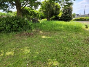 学校スタジオ・草刈り・除草剤・問い合わせ急増・撮影スポット・学園ドラマ・コマーシャル撮影・CM撮影・映画撮影・再現ドラマ撮影・コスプレ撮影・ユーチューブ撮影・アトリエミカミ・管理運営・学校撮影・レンタルスタジオ・東京近郊・東京・東京・関東・桜川市・真壁町・撮影専用物件・