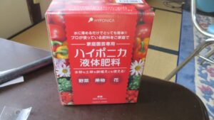 トマト・登録有形文化財橋本旅館スタジオ庭・グットデザイン賞・登録有形文化財橋本旅館スタジオ・古民家カフェ・登録有形文化財・アトリエミカミ・管理運営・ドラマ撮影・映画撮影・再現ドラマ撮影・YouTube撮影・ミュージックビデオ撮影・CM撮影・ロケ地・ロケ現場・撮影場所・ハウススタジオ・レンタルスタジオ・貸しスタジオ・東京・東京近郊・桜川市・真壁町
