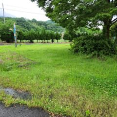 学校スタジオ・草刈り・除草剤・問い合わせ急増・撮影スポット・学園ドラマ・コマーシャル撮影・CM撮影・映画撮影・再現ドラマ撮影・コスプレ撮影・ユーチューブ撮影・アトリエミカミ・管理運営・学校撮影・レンタルスタジオ・東京近郊・東京・東京・関東・桜川市・真壁町・撮影専用物件・