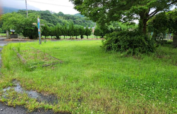 学校スタジオ・草刈り・除草剤・問い合わせ急増・撮影スポット・学園ドラマ・コマーシャル撮影・CM撮影・映画撮影・再現ドラマ撮影・コスプレ撮影・ユーチューブ撮影・アトリエミカミ・管理運営・学校撮影・レンタルスタジオ・東京近郊・東京・東京・関東・桜川市・真壁町・撮影専用物件・