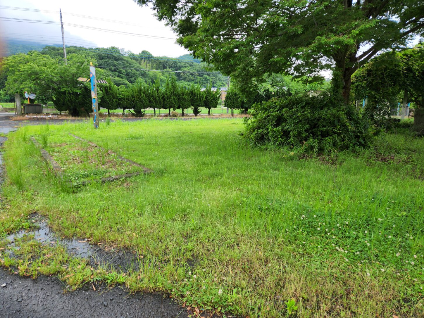 学校スタジオ・草刈り・除草剤・問い合わせ急増・撮影スポット・学園ドラマ・コマーシャル撮影・CM撮影・映画撮影・再現ドラマ撮影・コスプレ撮影・ユーチューブ撮影・アトリエミカミ・管理運営・学校撮影・レンタルスタジオ・東京近郊・東京・東京・関東・桜川市・真壁町・撮影専用物件・