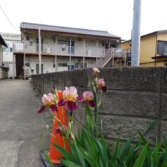 アパートスタジオ・撮影場所・ロケハンラッシュ・取り外しができるパネル壁・撮影専用物件・アパートスタジオ・アパート・改造・撮影用電源・パネル壁・メインロケハン・オールスタッフロケハン・連続ドラマ・映画撮影・アトリエミカミ管理運営・撮影場所・ハウススタジオ・昭和でレトロなアパートスタジオ・撮影専用物件・出入り階段も俯瞰で撮影・ドラマ・映画・再現ドラマ・撮影ポイント・ロケ地・ロケ場所・常総市・水海道・東京近郊・東京駅から50分・駅歩5分