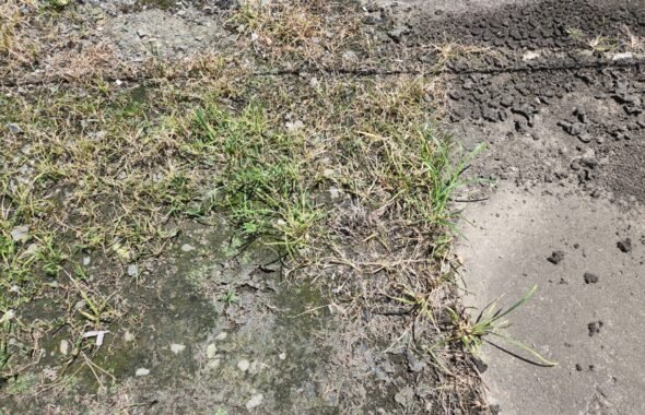 3度目の追加除草剤散布・アパートスタジオ・元ビジネスホテルスタジオ・撮影専用に改造したアパートスタジオ・撮影用電源。壁の取り外し・撮影用物件・ハウススタジオ・レンタルハウス・貸しスタジオ・アトリエミカミ・管理運営・スタジオ料金・映画撮影・ドラマ撮影・再現ドラマ撮影・YouTube撮影・ミュージックビデオ撮影・CM撮影・東京・東京近郊・連続ドラマ撮影・ロケ地・ロケ場所・有名作品・ロケ地巡り・ロケハン・ロケ弁・撮影場所