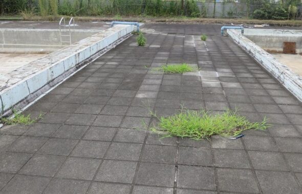 学校のプールサイドの草・ミュージックビデオ撮影現場・撮影スポット・学園ドラマ・コマーシャル撮影・CM撮影・映画撮影・再現ドラマ撮影・コスプレ撮影・ユーチューブ撮影・アトリエミカミ・管理運営・学校撮影・レンタルスタジオ・東京近郊・東京・東京・関東・桜川市・真壁町・撮影専用物件・
