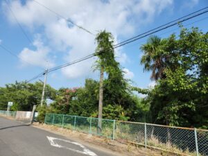 学校スタジオ・電柱・蔦・撮影・学校スタジオ・ミュージックビデオ撮影現場・撮影スポット・学園ドラマ・コマーシャル撮影・CM撮影・映画撮影・再現ドラマ撮影・コスプレ撮影・ユーチューブ撮影・アトリエミカミ・管理運営・学校撮影・レンタルスタジオ・東京近郊・東京・東京・関東・桜川市・真壁町・撮影専用物件・