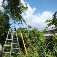 学校スタジオ・電柱・蔦・撮影・学校スタジオ・ミュージックビデオ撮影現場・撮影スポット・学園ドラマ・コマーシャル撮影・CM撮影・映画撮影・再現ドラマ撮影・コスプレ撮影・ユーチューブ撮影・アトリエミカミ・管理運営・学校撮影・レンタルスタジオ・東京近郊・東京・東京・関東・桜川市・真壁町・撮影専用物件・