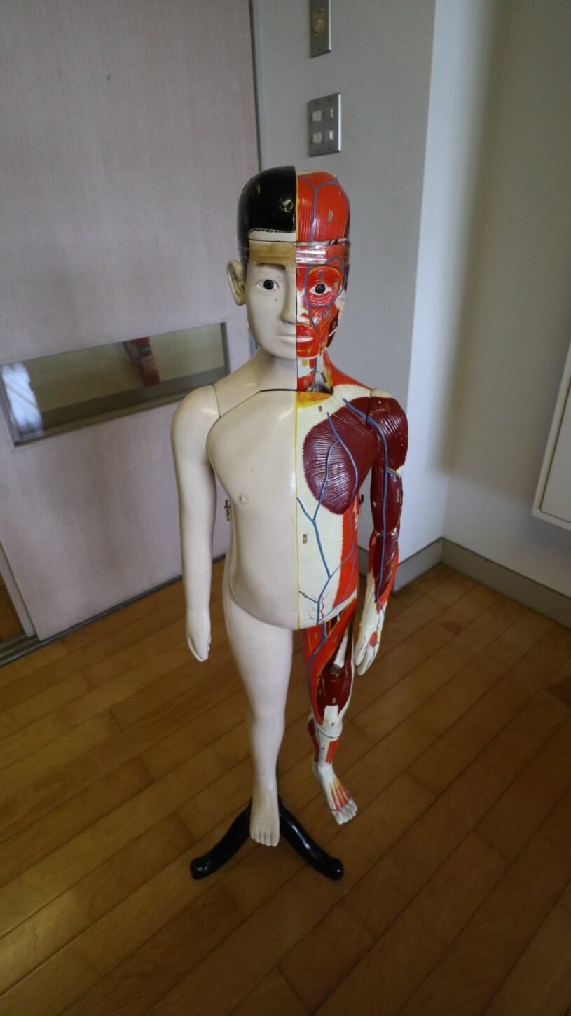 人体模型・学校スタジオ・撮影・学校スタジオ・ミュージックビデオ撮影現場・撮影スポット・学園ドラマ・コマーシャル撮影・CM撮影・映画撮影・再現ドラマ撮影・コスプレ撮影・ユーチューブ撮影・アトリエミカミ・管理運営・学校撮影・レンタルスタジオ・部室・職員室・校長室・図工室・美術室・図書室・放送室・保健室・実験室・理科室・家庭科室・調理実習室・サッカー部・バレー部・柔道部・剣道部・バスケ部・弓道部・体操部・陸上部・吹奏楽部・ダンス部・バトミントン部・応援団・東京近郊・東京・関東・桜川市・真壁町・撮影専用物件・