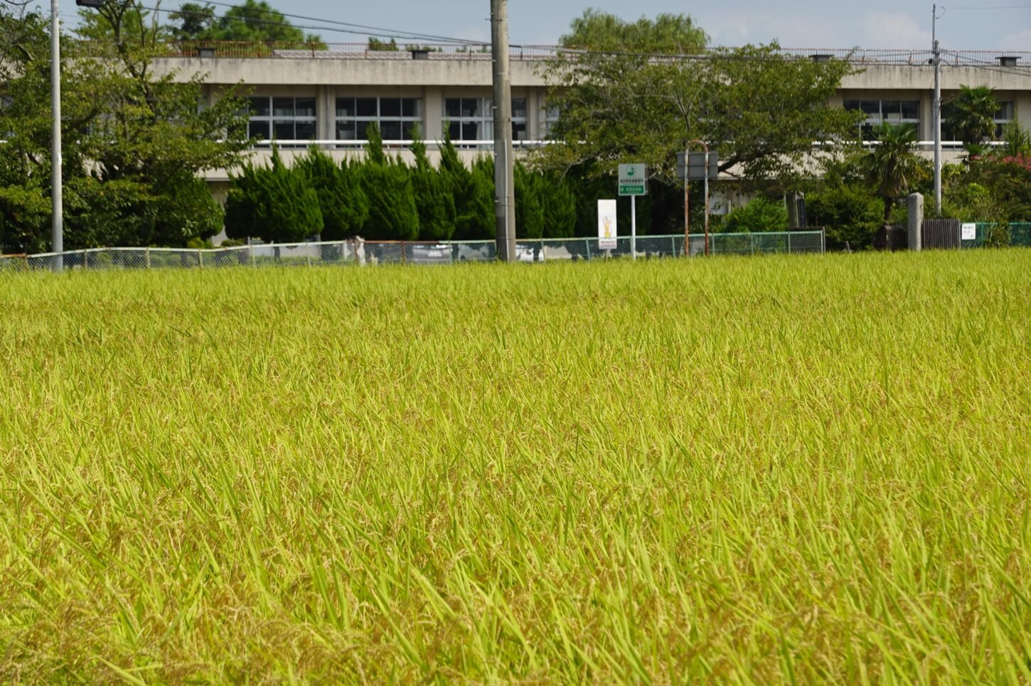 田んぼ入れ込んで学校スタジオ・・学校スタジオ撮影・ミュージックビデオ撮影現場・撮影スポット・学園ドラマ・コマーシャル撮影・CM撮影・映画撮影・再現ドラマ撮影・コスプレ撮影・ユーチューブ撮影・アトリエミカミ・管理運営・学校撮影・レンタルスタジオ・東京近郊・東京・東京・関東・桜川市・真壁町・撮影専用物件