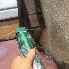 スズメバチ駆除・登録有形文化財橋本旅館スタジオ庭・アトリエミカミ・管理運営・グットデザイン賞・登録有形文化財橋本旅館スタジオ・古民家カフェ・登録有形文化財・ドラマ撮影・映画撮影・再現ドラマ撮影・YouTube撮影・ミュージックビデオ撮影・CM撮影・ロケ地・ロケ現場・撮影場所・ハウススタジオ・レンタルスタジオ・貸しスタジオ・東京・東京近郊・桜川市・真壁町・撮影準備