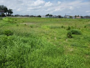 ロケ地依頼・草原・広い空き地・学校跡地・広場・ロケ地探し・バラエティー番組・落とし穴・ドラマ撮影・映画撮影・YouTube撮影・ミュージックビデオ撮影・テレビ撮影場所・ロケーションコーデネート・ロケコーデネート・場所探し・アトリエミカミ・東京近郊・東京・埼玉・千葉・茨城・栃木・群馬・神奈川・関東