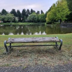 彩の森公園・埼玉県・入間市・公園・ベンチ・撮影で使えそうな・映えそうな・ワンコとお散歩・犬・アトリエミカミ・撮影専用・改造・撮影用電源・撮影専用物件・パネル壁・メインロケハン・オールスタッフロケハン・連続ドラマ・映画撮影・アトリエミカミ管理運営・撮影場所・ハウススタジオ・昭和でレトロなアパートスタジオ・撮影専用物件・出入り階段も俯瞰で撮影・ドラマ・映画・再現ドラマ・撮影ポイント・ロケ地・ロケ場所・常総市・水海道・東京近郊・東京駅から50分・駅歩5