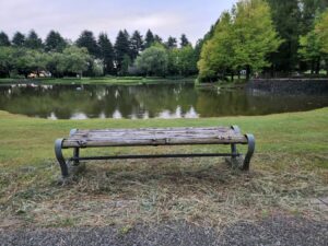 彩の森公園・埼玉県・入間市・公園・ベンチ・撮影で使えそうな・映えそうな・ワンコとお散歩・犬・アトリエミカミ・撮影専用・改造・撮影用電源・撮影専用物件・パネル壁・メインロケハン・オールスタッフロケハン・連続ドラマ・映画撮影・アトリエミカミ管理運営・撮影場所・ハウススタジオ・昭和でレトロなアパートスタジオ・撮影専用物件・出入り階段も俯瞰で撮影・ドラマ・映画・再現ドラマ・撮影ポイント・ロケ地・ロケ場所・常総市・水海道・東京近郊・東京駅から50分・駅歩5