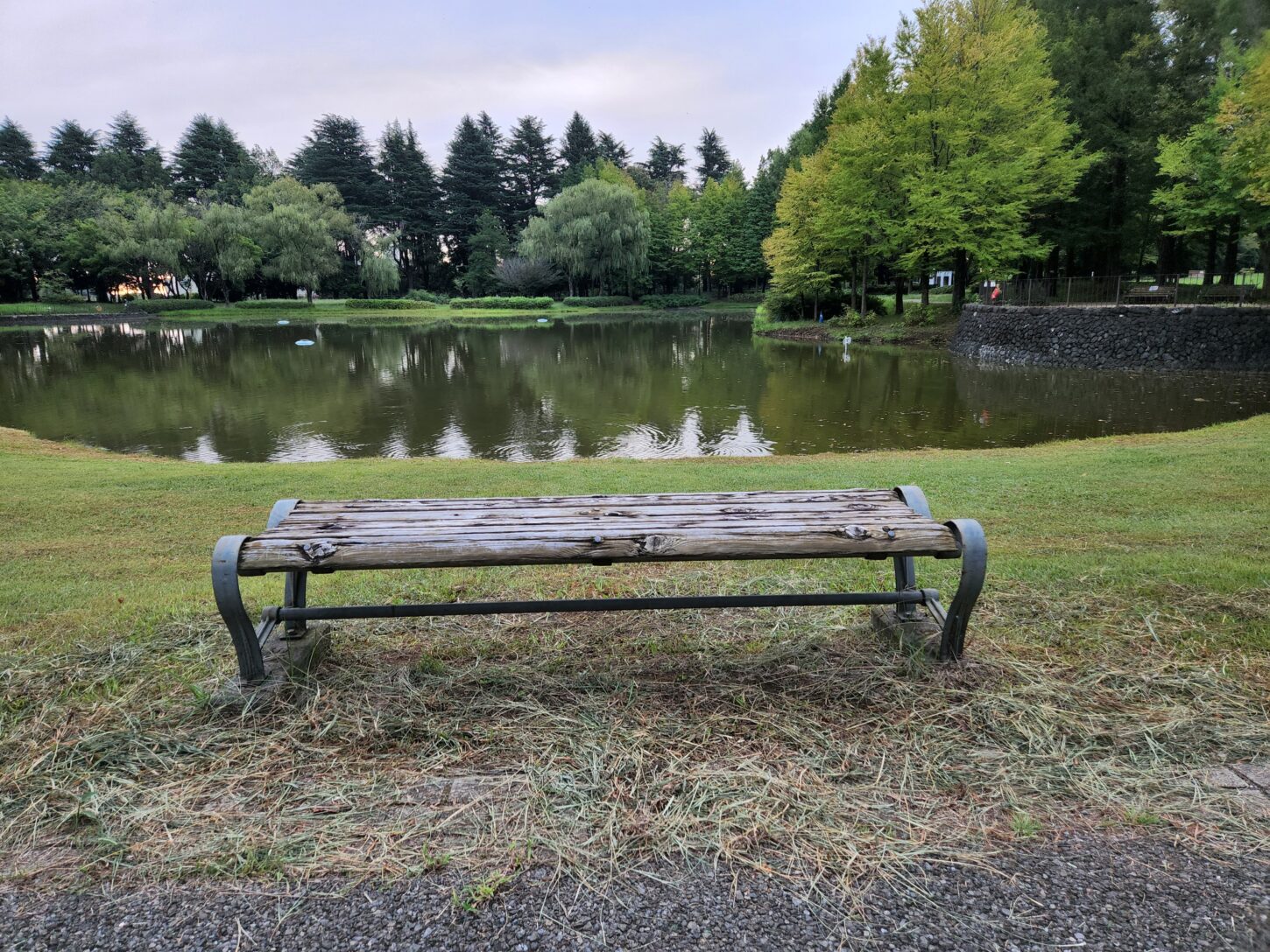 彩の森公園・埼玉県・入間市・公園・ベンチ・撮影で使えそうな・映えそうな・ワンコとお散歩・犬・アトリエミカミ・撮影専用・改造・撮影用電源・撮影専用物件・パネル壁・メインロケハン・オールスタッフロケハン・連続ドラマ・映画撮影・アトリエミカミ管理運営・撮影場所・ハウススタジオ・昭和でレトロなアパートスタジオ・撮影専用物件・出入り階段も俯瞰で撮影・ドラマ・映画・再現ドラマ・撮影ポイント・ロケ地・ロケ場所・常総市・水海道・東京近郊・東京駅から50分・駅歩5