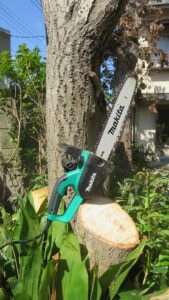 木の伐採・チエンソー・登録有形文化財橋本旅館スタジオ庭・撮影スタジオ・アトリエミカミ・管理運営・グットデザイン賞・登録有形文化財橋本旅館スタジオ・古民家カフェ・登録有形文化財・ドラマ撮影・映画撮影・再現ドラマ撮影・YouTube撮影・ミュージックビデオ撮影・CM撮影・ロケ地・ロケ現場・撮影場所・ハウススタジオ・レンタルスタジオ・貸しスタジオ・東京・東京近郊・桜川市・真壁町・撮影準