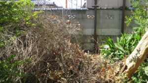 木の枝・ゴミ出し・登録有形文化財橋本旅館スタジオ庭・撮影スタジオ・アトリエミカミ・管理運営・グットデザイン賞・登録有形文化財橋本旅館スタジオ・古民家カフェ・登録有形文化財・ドラマ撮影・映画撮影・再現ドラマ撮影・YouTube撮影・ミュージックビデオ撮影・CM撮影・ロケ地・ロケ現場・撮影場所・ハウススタジオ・レンタルスタジオ・貸しスタジオ・東京・東京近郊・桜川市・真壁町・撮影準