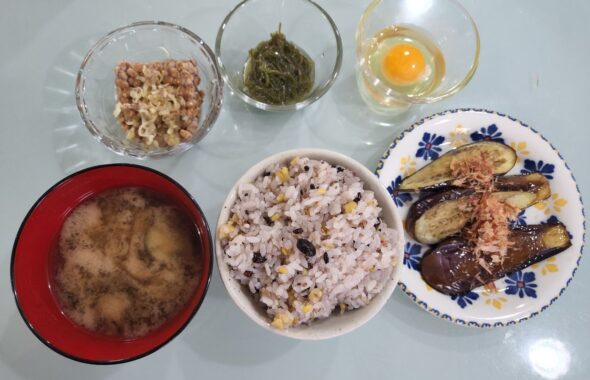 朝食・イヌリン・血糖値・こしあぶら苗・登録有形文化財橋本旅館スタジオ庭・・アトリエミカミ・登録有形文化財橋本旅館スタジオ・登録有形文化財橋本旅館スタジオ外観・撮影スタジオ・アトリエミカミ・管理運営・グットデザイン賞・登録有形文化財橋本旅館スタジオ・古民家カフェ・登録有形文化財・ドラマ撮影・映画撮影・再現ドラマ撮影・YouTube撮影・ミュージックビデオ撮影・CM撮影・ロケ地・ロケ現場・撮影場所・ハウススタジオ・レンタルスタジオ・貸しスタジオ・東京・東京近郊・桜川市・真壁町・撮影準備