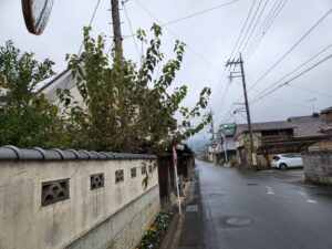 登録有形文化財橋本旅館スタジオ・庭の木・伐採・道路に出て・メンテナンンス・登録有形文化財橋本旅館スタジオ外観・撮影スタジオ・アトリエミカミ・管理運営・グットデザイン賞・登録有形文化財橋本旅館スタジオ・古民家カフェ・登録有形文化財・ドラマ撮影・映画撮影・再現ドラマ撮影・YouTube撮影・ミュージックビデオ撮影・CM撮影・ロケ地・ロケ現場・撮影場所・ハウススタジオ・レンタルスタジオ・貸しスタジオ・東京・東京近郊・桜川市・真壁町・撮影準備