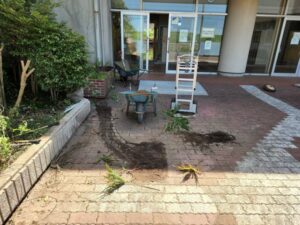 行田学校スタジオ正面玄関前の花壇を端に寄せました