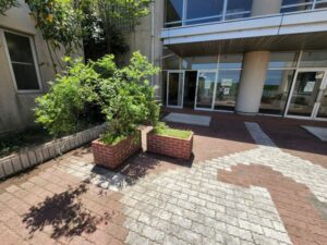 行田学校スタジオ正面玄関前の花壇を端に寄せました