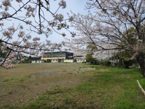 行田学校スタジオ・北河原高等学校・桜・入学式・卒業式