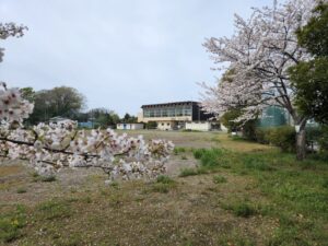 行田学校スタジオ・北河原高等学校・桜・入学式・卒業式
