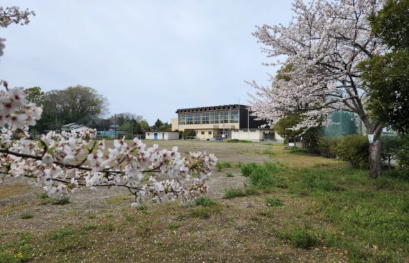 行田学校スタジオ・北河原高等学校・桜・入学式・卒業式