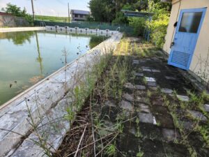 行田学校スタジオ・北河原高等学校・高校スタジオ・プール清掃・東京近郊