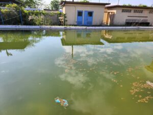 行田学校スタジオ・プールの排水バルブ・北河原高等学校・高校スタジオ・東京近郊