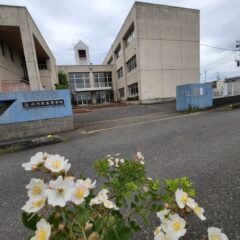 行田学校スタジオ・北河原高等学校・花・高校スタジオ・東京近郊・学校名看板撮影