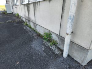 行田学校スタジオ・プールサイド・雑草駆除メンテナンス・清掃・北河原高等学校・高校スタジオ・東京近郊