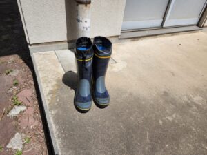 行田学校スタジオ・プールサイド・雑草駆除メンテナンス・清掃・北河原高等学校・高校スタジオ・東京近郊