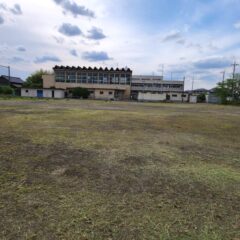 行田学校スタジオの校庭の草刈り