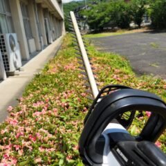 学校スタジオ、植え込み、バリカン、カット