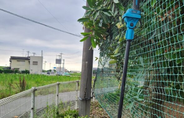 高所枝切り・電動ばさみ・延長棒・東側フェンス周り内側から、行田学校スタジオ・メンテナンス作業・ドラマ撮影・映画撮影・ミュージックビデオ撮影・再現ドラマ・ＣＭ撮影・撮影現場・ロケ現場・聖地巡礼・撮影場所・東京近郊・ロケ弁
